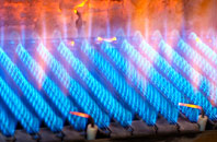 Edinbane gas fired boilers